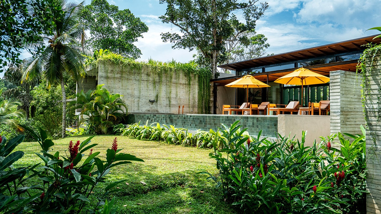 Pure Thai Naturals